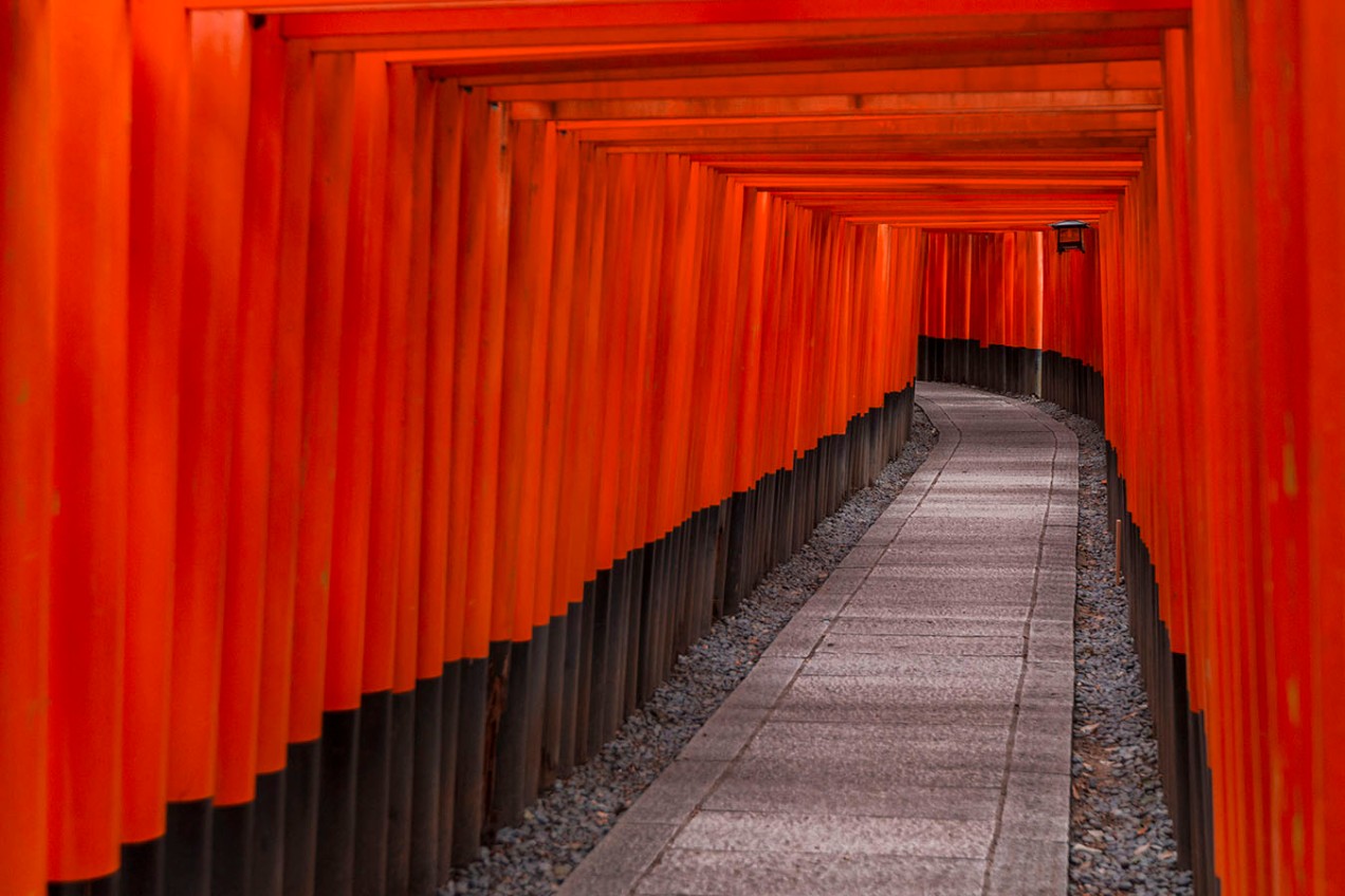 passageway of many torii gates