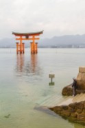 A child pondering the torii