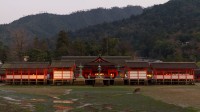 Deer grazing in front of Itsukushima Shrine during low tide
