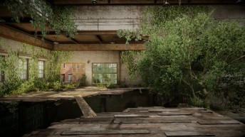 nature reclaiming an abandoned building
