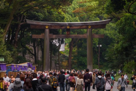 one of several large torii entrances to Meiji Jingu