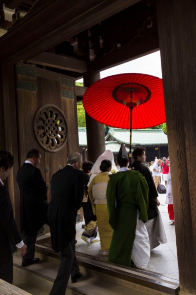 shinto wedding procession thorugh meiji jingu's courtyard entranceway